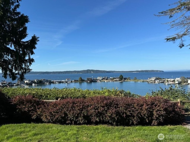 10220 NE Lafayette Ave, Bainbridge Island, WA 98110 - water view