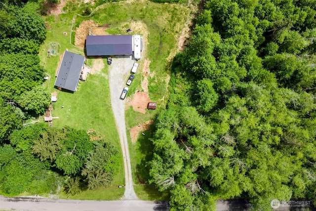 1707 Bonnie Ln, Camano Island, WA 98282 - aerial view