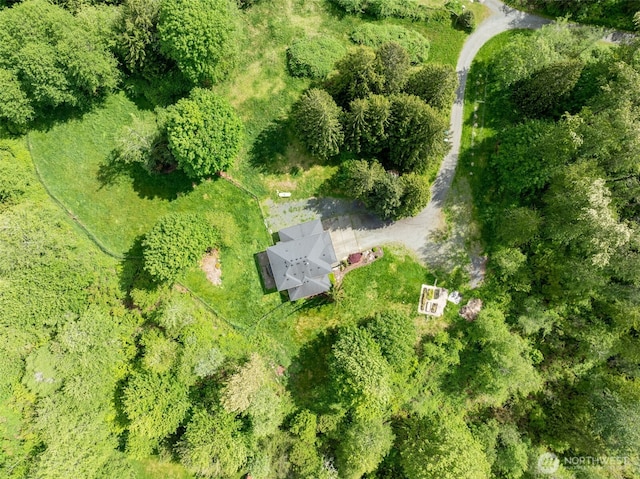 3831 171st Ave SE, Snohomish, WA 98290 - bird's eye view