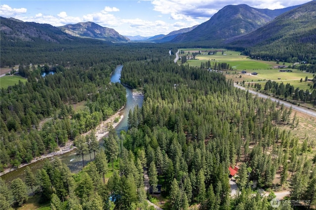 18 Deer Run Loop Rd, Winthrop, WA 98862 - view of mountain background featuring a forest and a large body of water