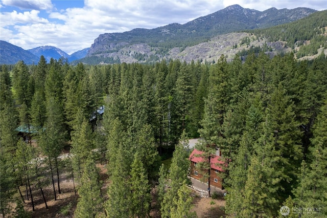 18 Deer Run Loop Rd, Winthrop, WA 98862 - mountain view with a heavily wooded area