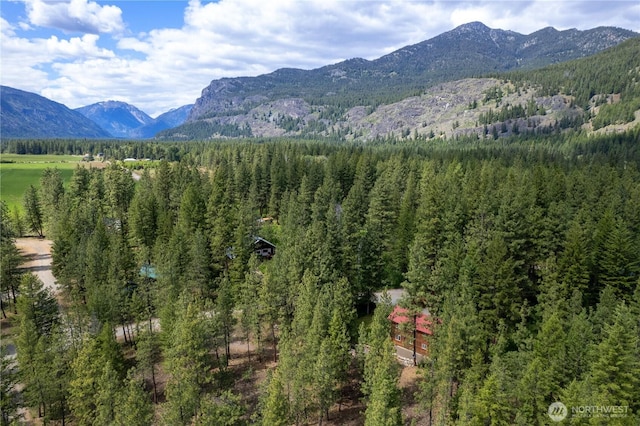 18 Deer Run Loop Rd, Winthrop, WA 98862 - mountain view featuring a heavily wooded area