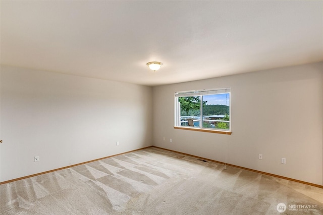 10018 Overlook Dr NW, Olympia, WA 98502 - photo 14