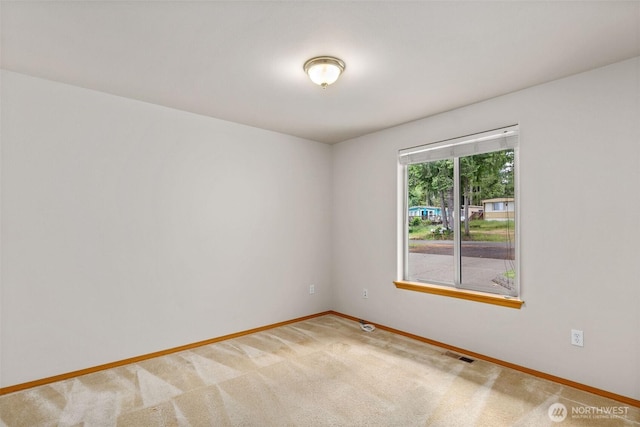 10018 Overlook Dr NW, Olympia, WA 98502 - photo 18