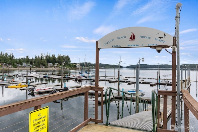 10018 Overlook Dr NW, Olympia, WA 98502 - photo 31