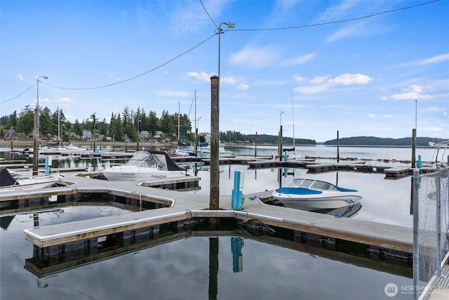 10018 Overlook Dr NW, Olympia, WA 98502 - photo 32