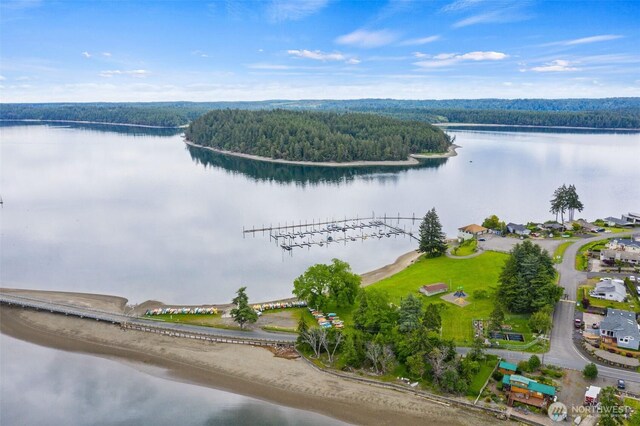 10018 Overlook Dr NW, Olympia, WA 98502 - photo 33