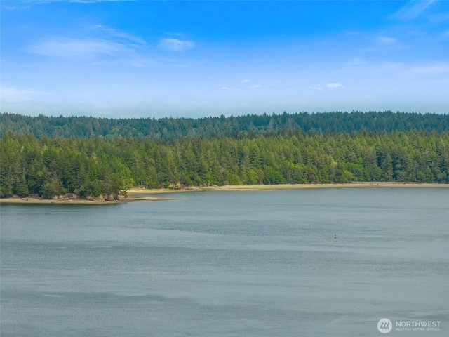 10018 Overlook Dr NW, Olympia, WA 98502 - photo 35