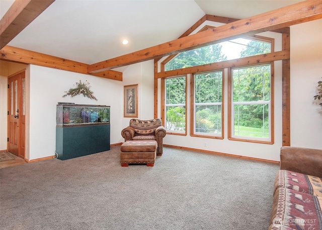 5707 316th St NW, Stanwood, WA 98292 - living area featuring healthy amount of natural light, carpet, and recessed lighting