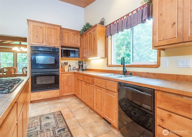5707 316th St NW, Stanwood, WA 98292 - kitchen with black appliances, a sink, light countertops, and plenty of natural light