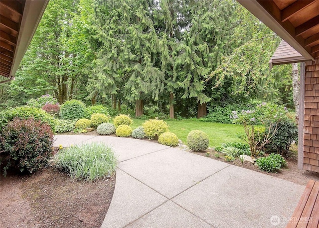 5707 316th St NW, Stanwood, WA 98292 - view of patio
