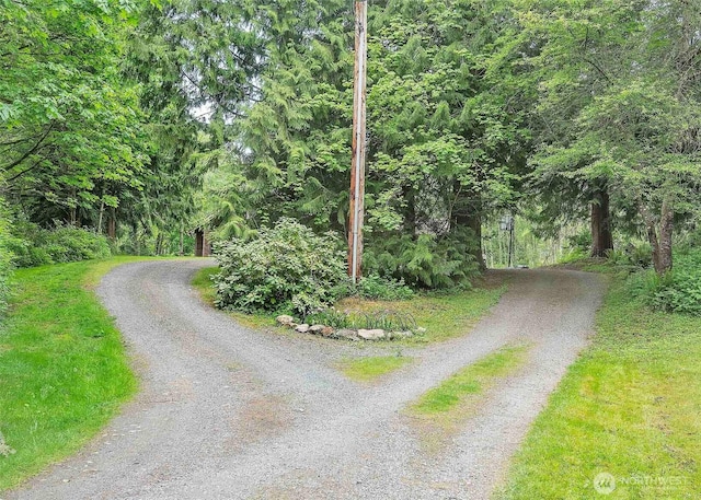 5707 316th St NW, Stanwood, WA 98292 - view of dirt / gravel road with a wooded view