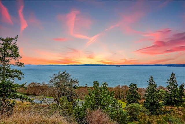 20010 3rd Ave NW, Shoreline, WA 98177 - water view
