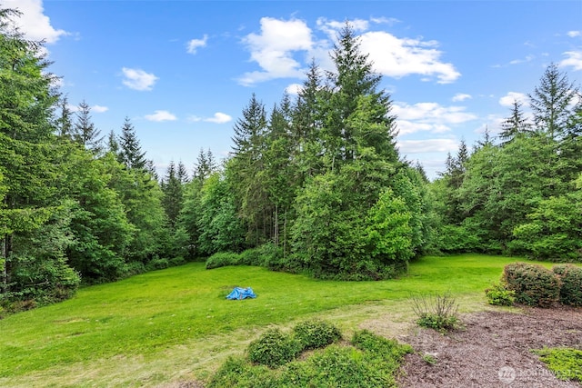 598 Carnine Pl, Castle Rock, WA 98611 - photo 19