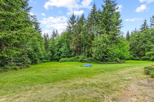 598 Carnine Pl, Castle Rock, WA 98611 - photo 22