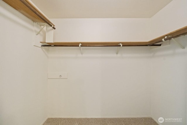 5911 105th Ave NE, Kirkland, WA 98033 - spacious closet featuring carpet flooring