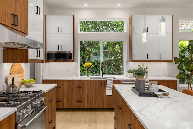 2727 50th Ave SW, Seattle, WA 98116 - kitchen with appliances with stainless steel finishes, a sink, light stone countertops, extractor fan, and recessed lighting