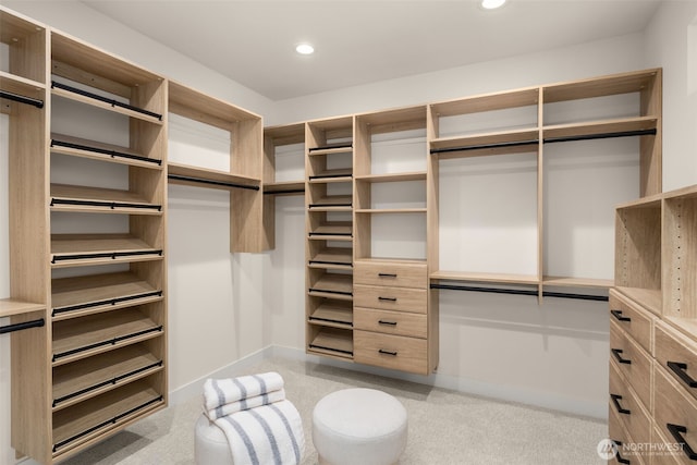 2727 50th Ave SW, Seattle, WA 98116 - spacious closet with light carpet
