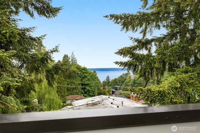 2727 50th Ave SW, Seattle, WA 98116 - water view