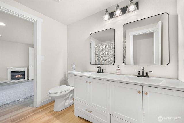 1005 Johnson St, Sumas, WA 98295 - full bath featuring wood finished floors, double vanity, toilet, and a glass covered fireplace