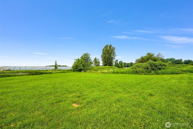 1005 Johnson St, Sumas, WA 98295 - view of yard