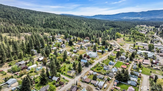 303 N B St, Roslyn, WA 98941 - view of property location featuring a heavily wooded area, a mountain backdrop, and nearby suburban area