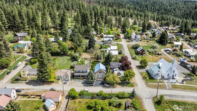 303 N B St, Roslyn, WA 98941 - aerial view of residential area with a forest