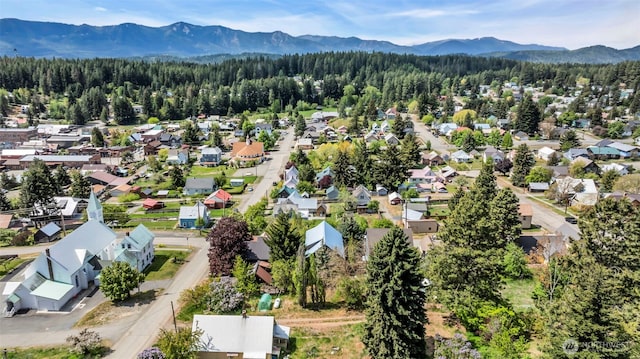 303 N B St, Roslyn, WA 98941 - aerial view of residential area featuring mountains and a heavily wooded area