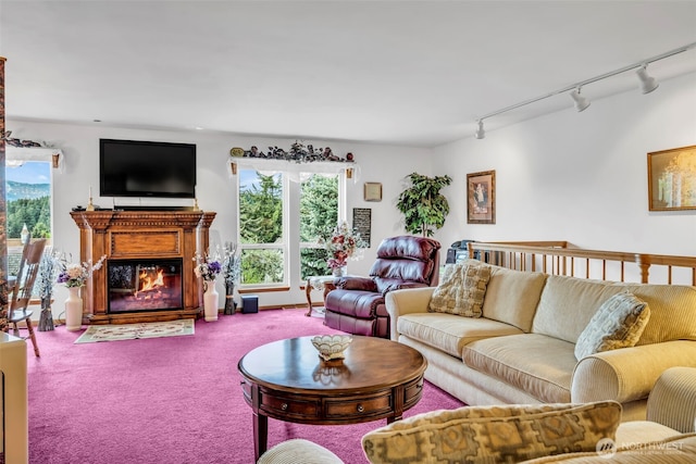 303 N B St, Roslyn, WA 98941 - carpeted living area featuring rail lighting, a glass covered fireplace, and plenty of natural light