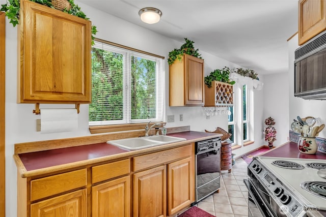 303 N B St, Roslyn, WA 98941 - kitchen featuring a sink, healthy amount of natural light, and black appliances