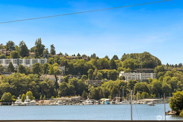 116 E Edgar St, Seattle, WA 98102 - water view with a tree filled landscape