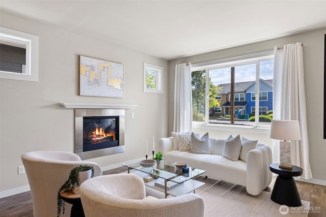 938 SW 97th St, Seattle, WA 98106 - living room featuring wood finished floors, healthy amount of natural light, a glass covered fireplace, and baseboards