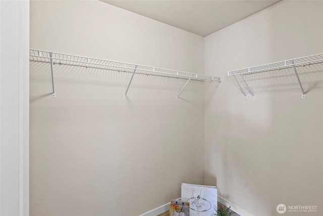 938 SW 97th St, Seattle, WA 98106 - view of spacious closet