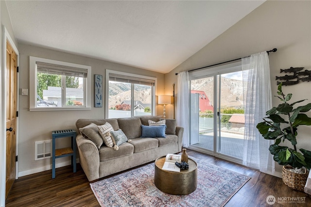 421 Lakeview Dr, Orondo, WA 98843 - living room with plenty of natural light, dark wood finished floors, lofted ceiling, and baseboards