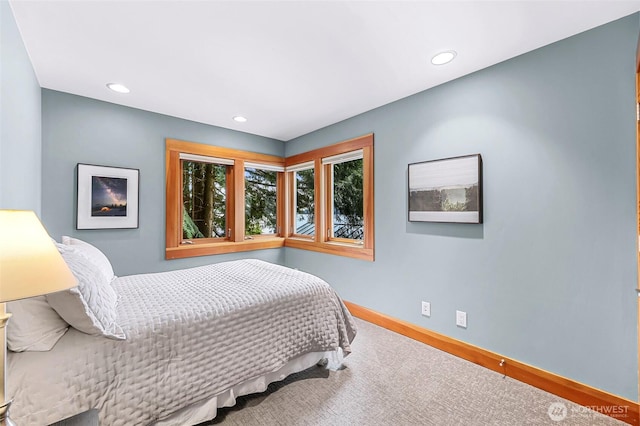 891 E Lake Samish Dr, Bellingham, WA 98229 - carpeted bedroom with baseboards and recessed lighting