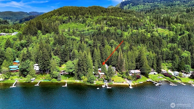 891 E Lake Samish Dr, Bellingham, WA 98229 - aerial view of a heavily wooded area and a water and mountain view