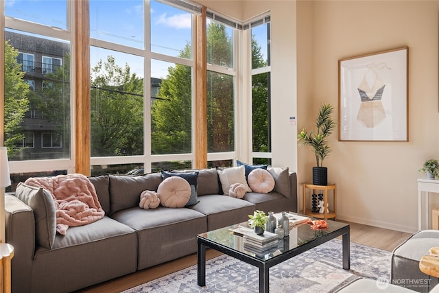1812 19th Ave Unit 205, Seattle, WA 98122 - living room featuring wood finished floors, plenty of natural light, and baseboards