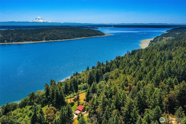 12010 SW Wesleyan Way Unit 1, Vashon, WA 98070 - aerial view of a forest and a water and mountain view