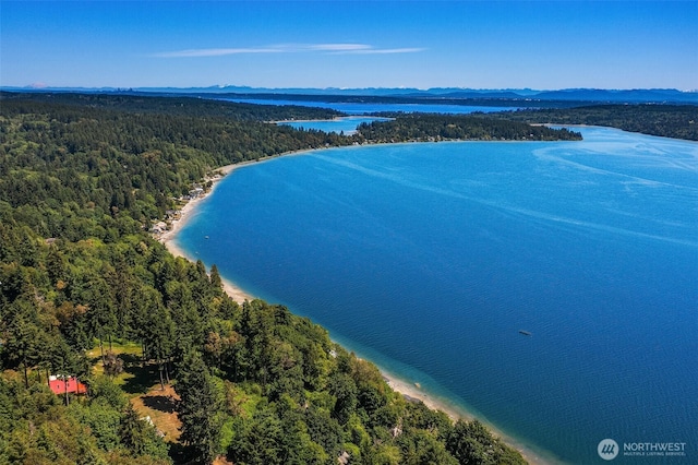 12010 SW Wesleyan Way Unit 1, Vashon, WA 98070 - bird's eye view of a heavily wooded area and a water and mountain view