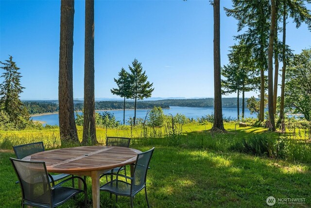 12010 SW Wesleyan Way Unit 1, Vashon, WA 98070 - water view