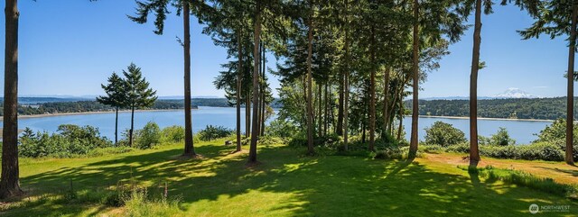 12010 SW Wesleyan Way Unit 1, Vashon, WA 98070 - water view featuring a mountainous background