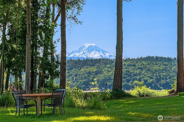 12010 SW Wesleyan Way Unit 1, Vashon, WA 98070 - view of mountain backdrop featuring a heavily wooded area