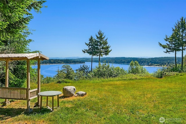 12010 SW Wesleyan Way Unit 1, Vashon, WA 98070 - water view