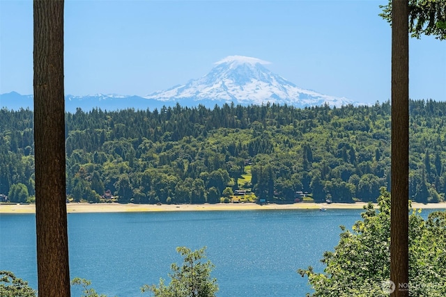 12010 SW Wesleyan Way Unit 1, Vashon, WA 98070 - water view featuring a forest and mountains