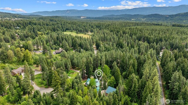 180 Sierra Ln, Ronald, WA 98940 - photo 39