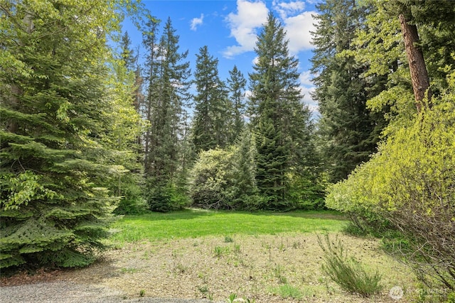 180 Sierra Ln, Ronald, WA 98940 - photo 40