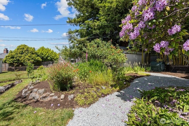 6050 36th Ave SW, Seattle, WA 98126 - view of yard