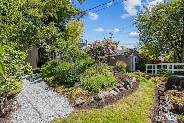 6050 36th Ave SW, Seattle, WA 98126 - view of yard