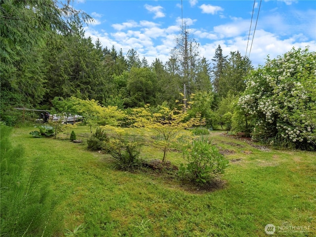 6341 NE Balzow Rd, Suquamish, WA 98392 - view of green lawn with a view of trees