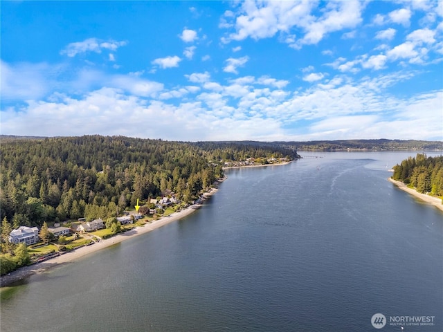 6341 NE Balzow Rd, Suquamish, WA 98392 - water view featuring a forest
